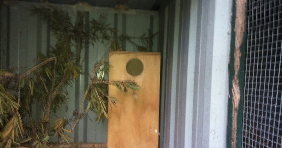 Parrot Breeding: Nesting Boxes